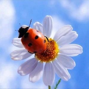 Meet your Posher, Margarita